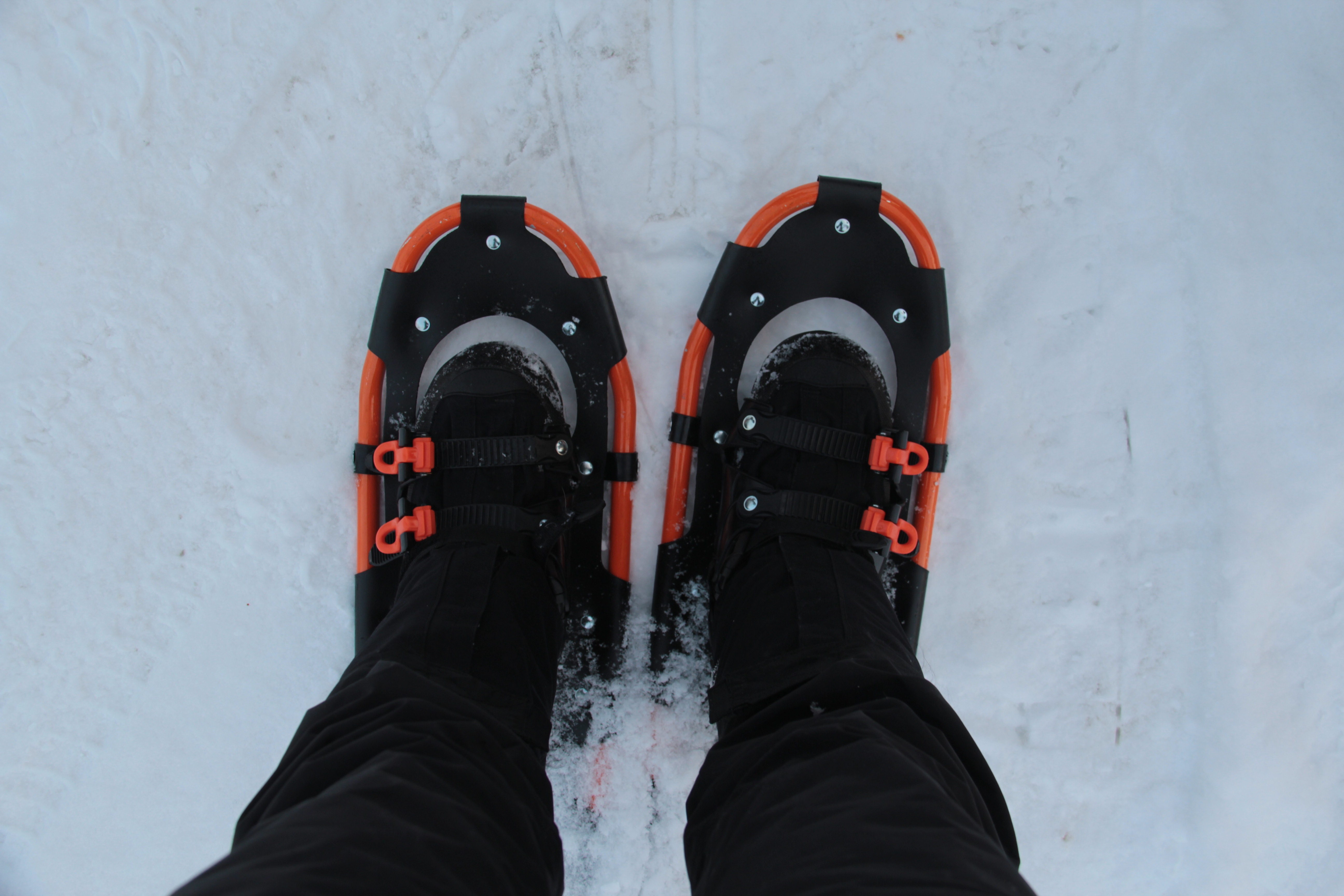 Snowshoeing & Ice fishing