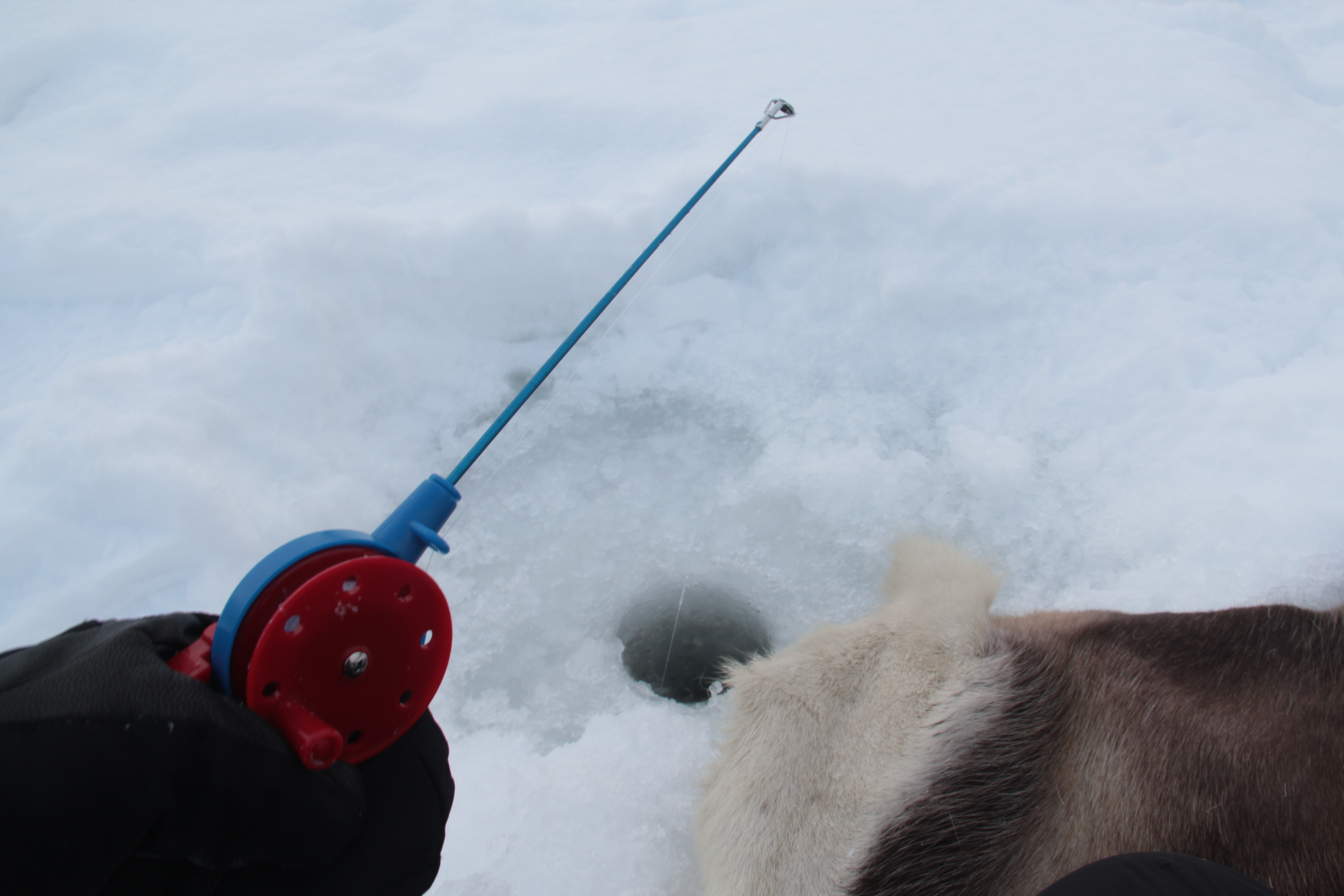 Snowshoeing & Ice fishing