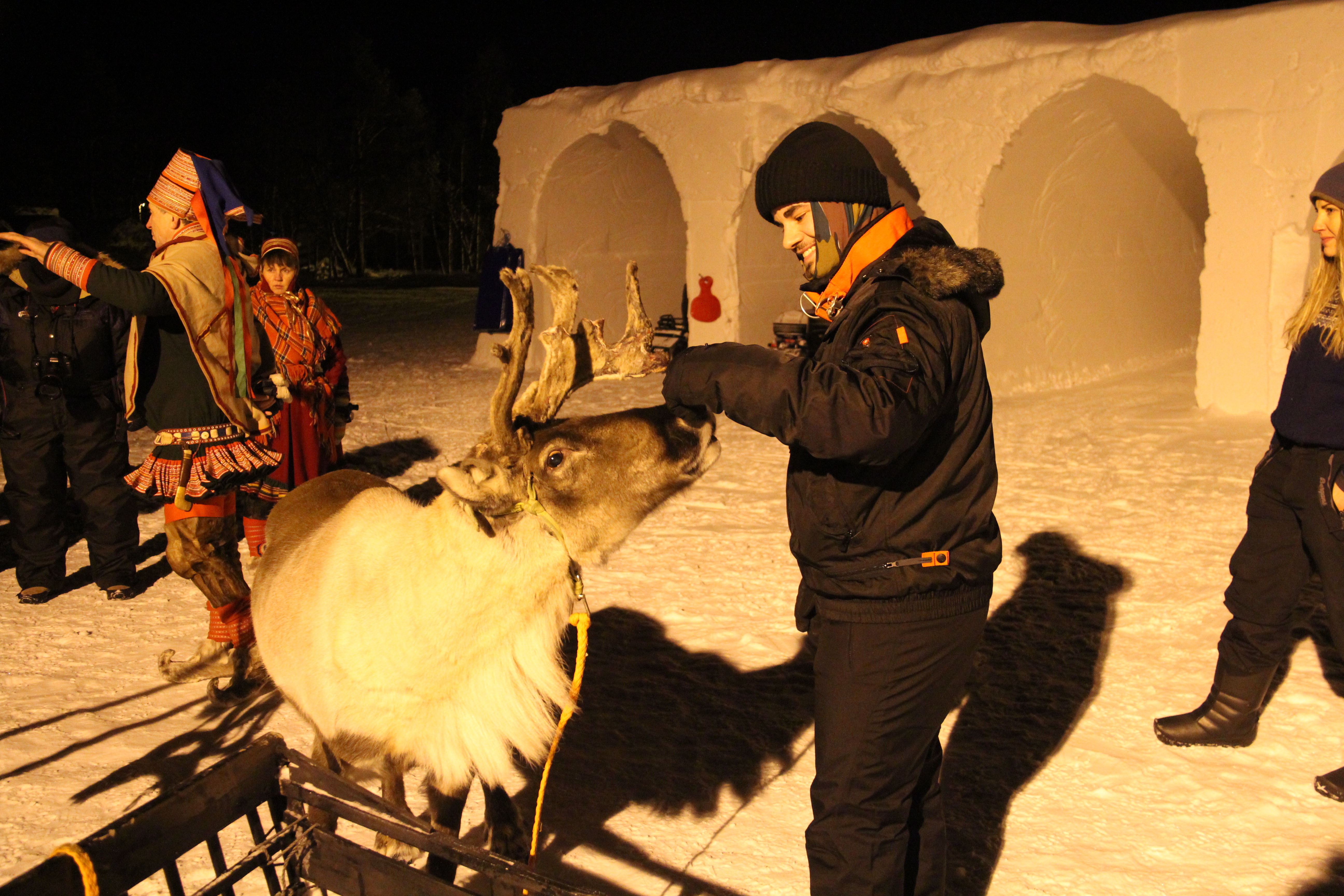 reindeer sledding & sami experience Alta