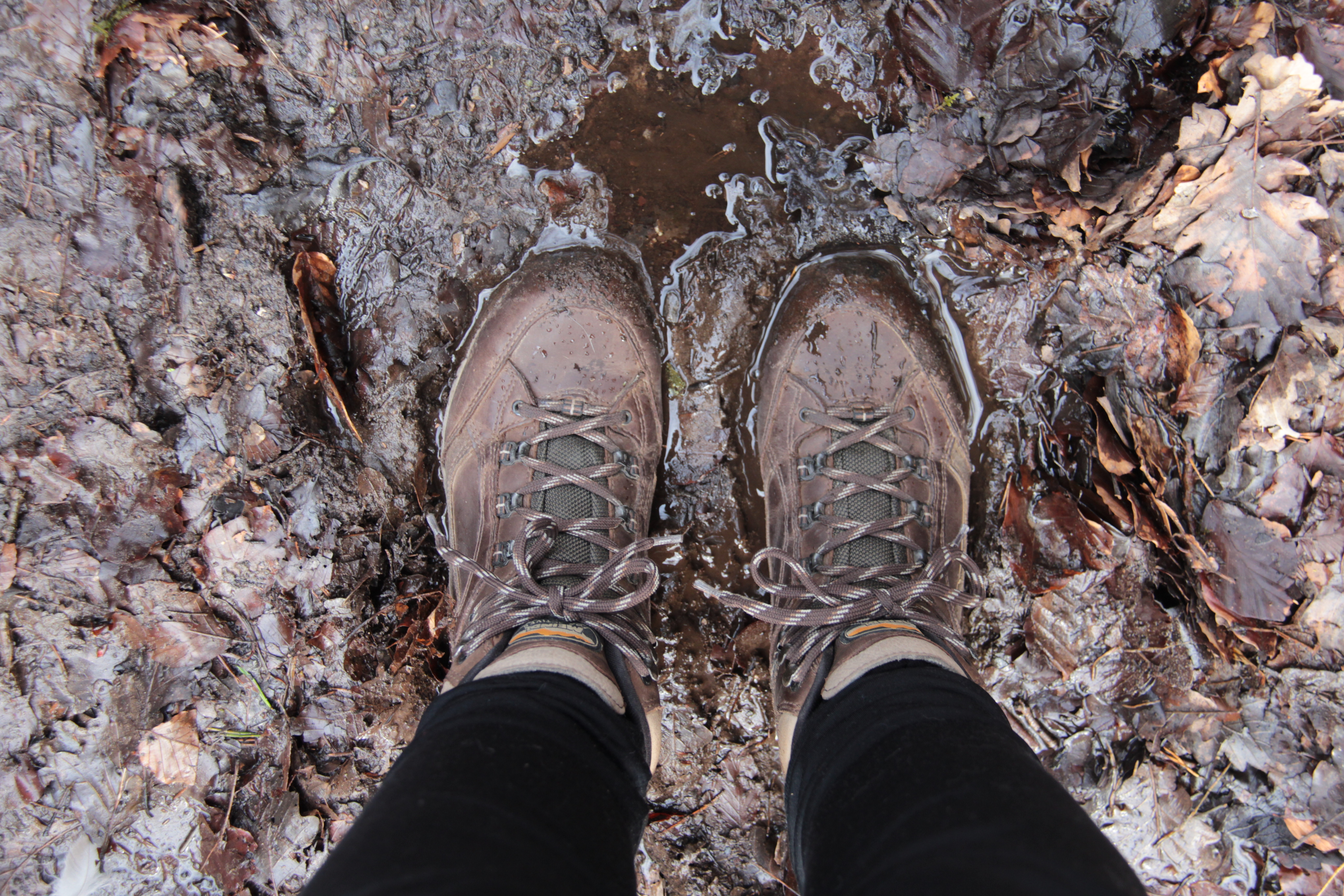 Mullerthal Trail