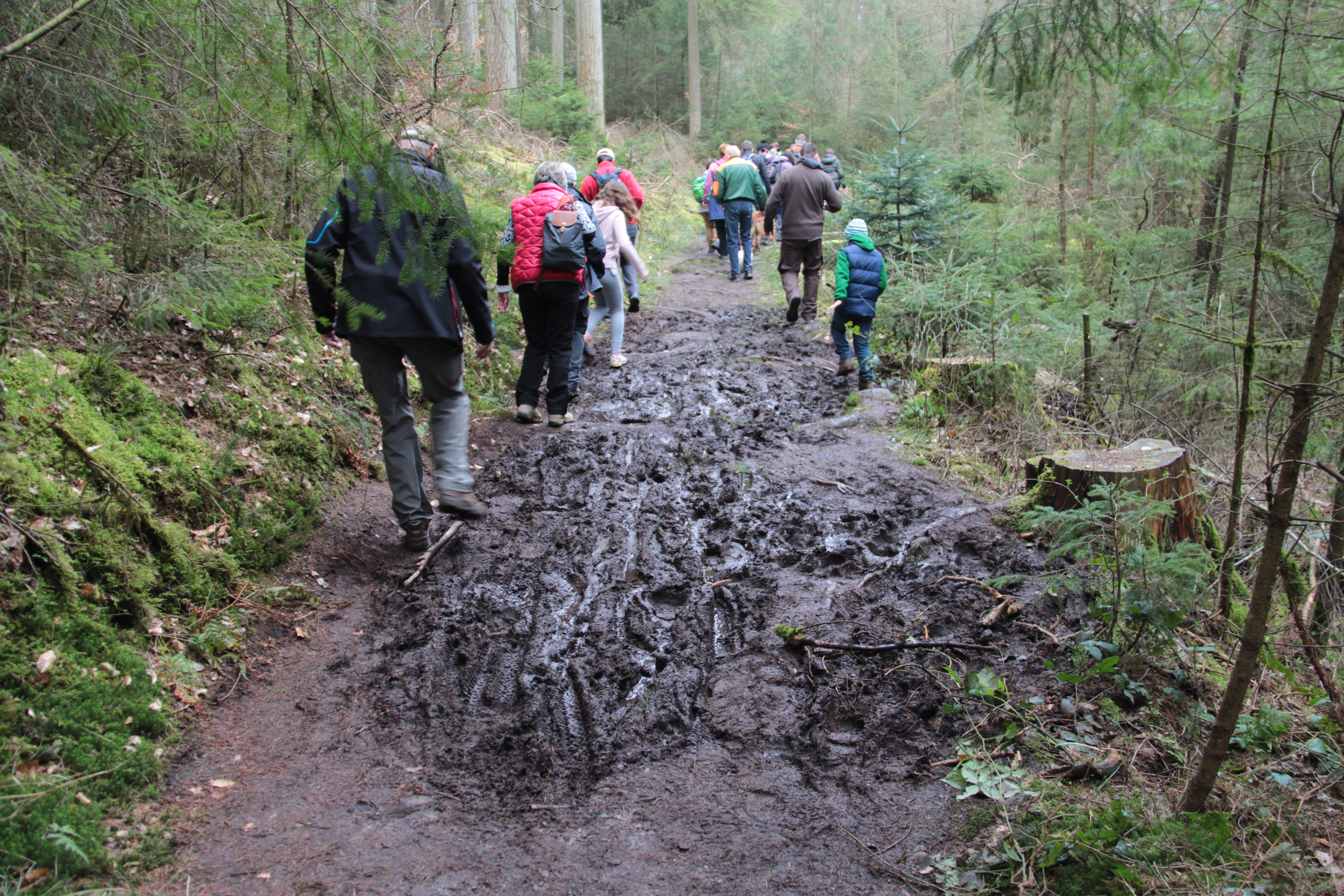 Mullerthal Trail