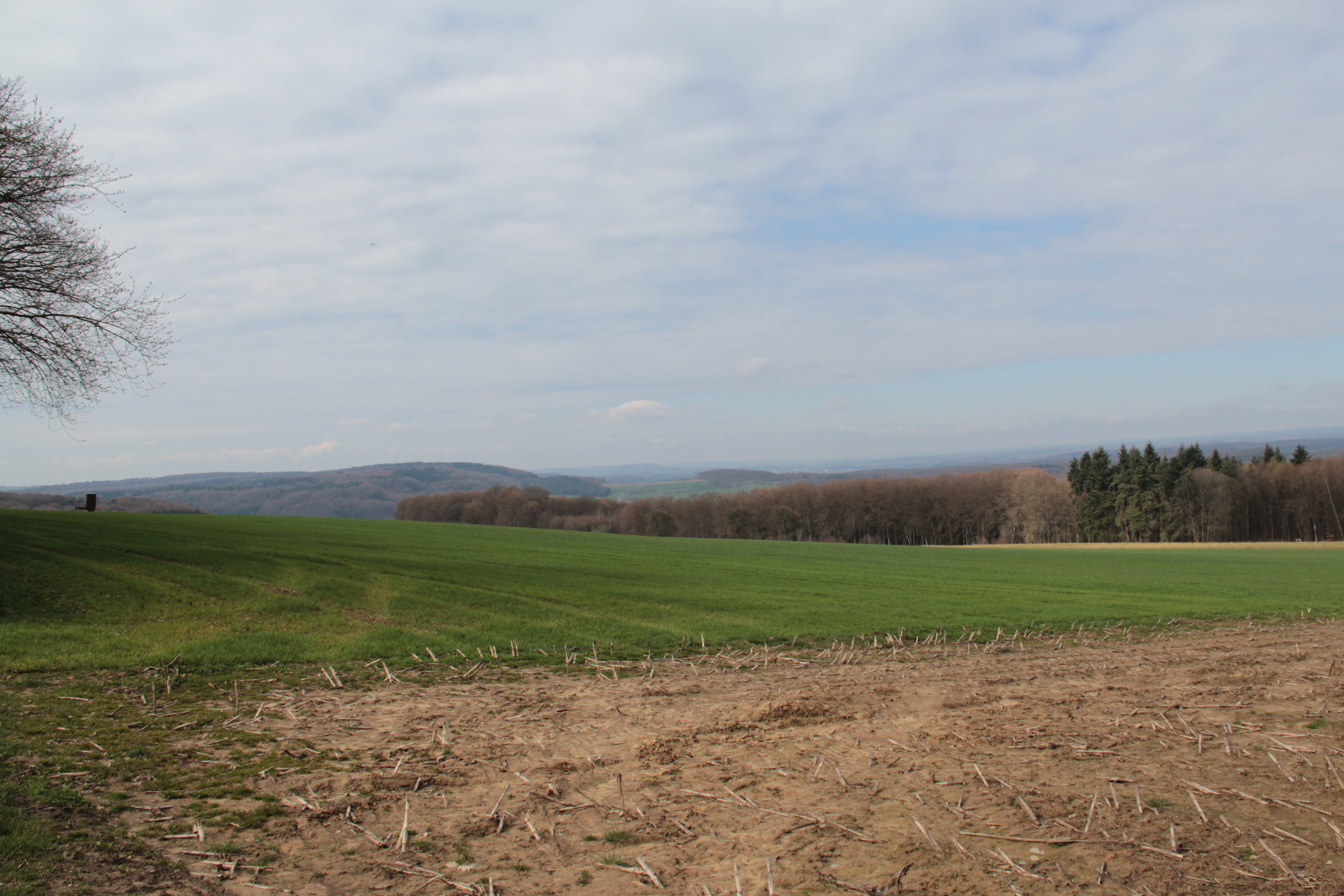 Mullerthal Trail