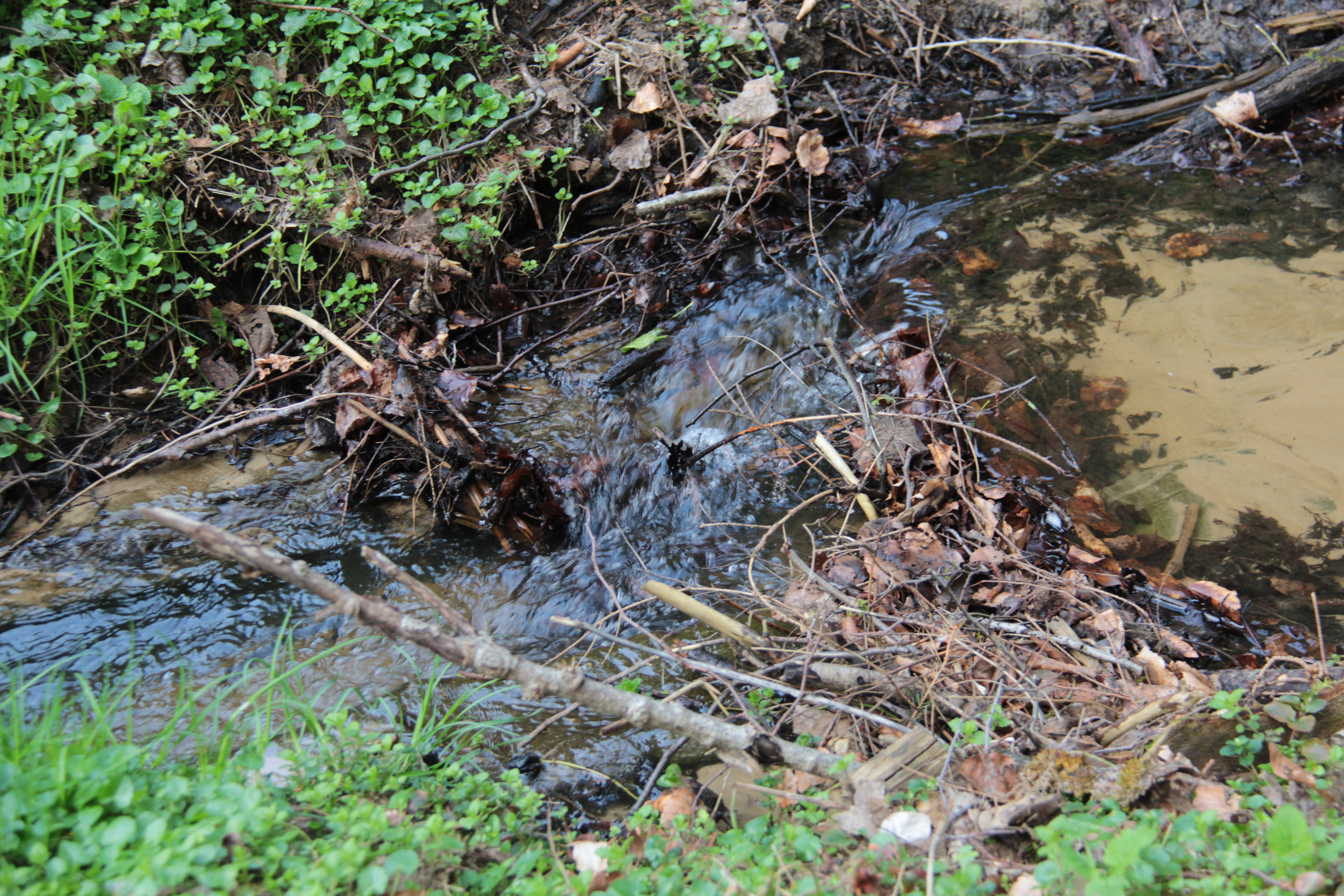 Mullerthal Trail